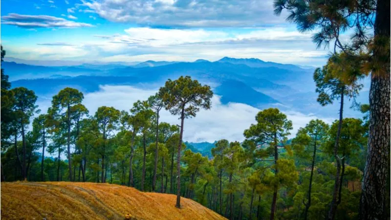 Rani Khet, Uttarakhand